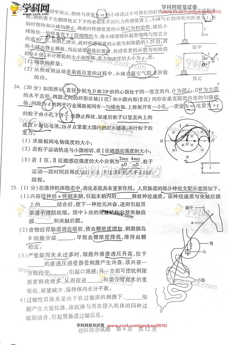2015年山东高考理科综合试题及答案解析