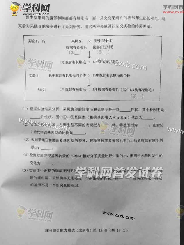 2015年北京高考理科综合试题及答案解析