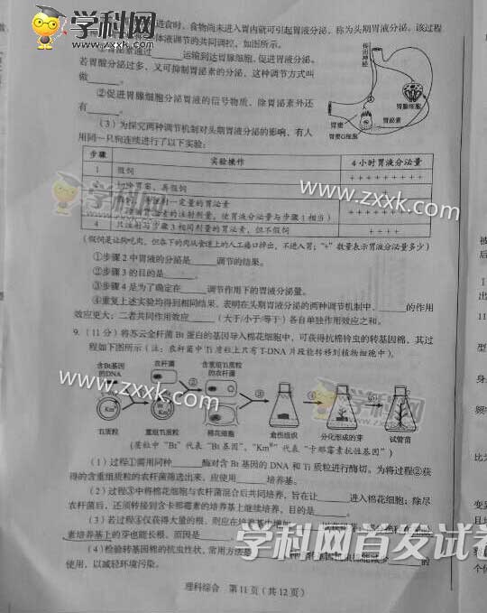 2015年四川高考理科综合试题及答案解析