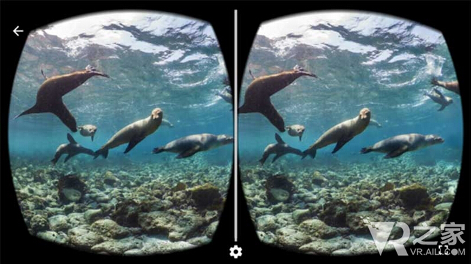 vr����������ܽ� ѧ������������APP