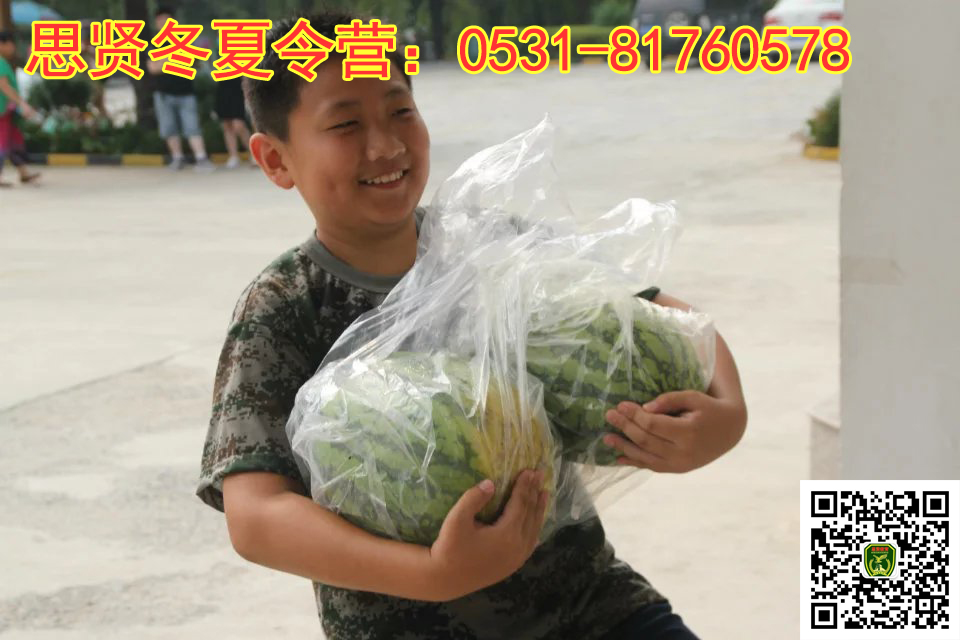 山东青少年夏令营