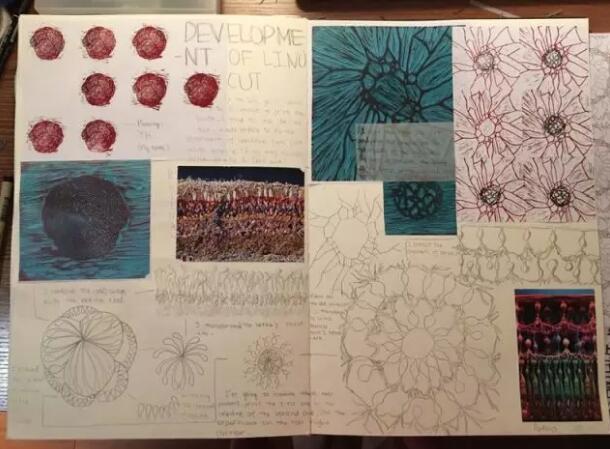 Yang Hui's Sketchbook