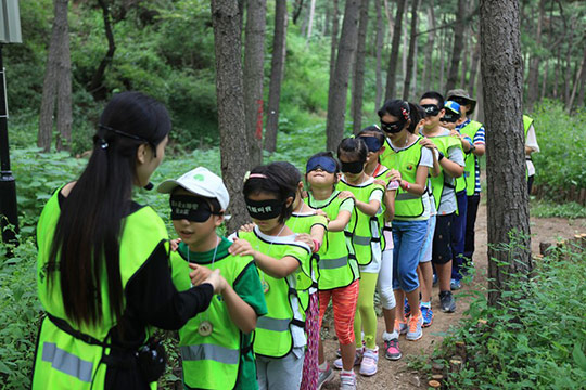 青青部落-人文类-森林探秘夏令营-新闻动态-20