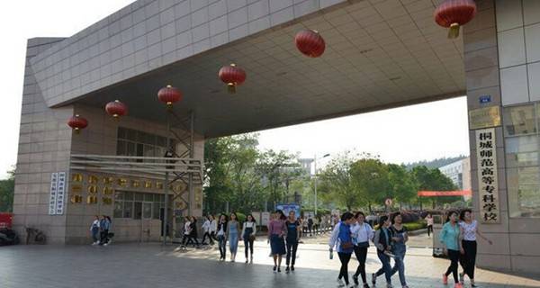 桐城师范高等专科学校(2017年)招生章程_高校