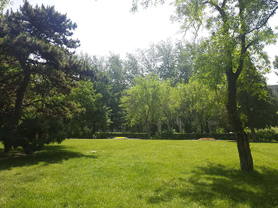 ����������ѧУ԰��������