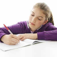 ѡ���������� �����������������