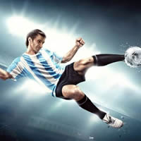 ������������רҵ���������̵�