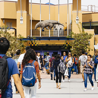 �������ݴ�ѧŷ�ķ�У����Щ����רҵ��