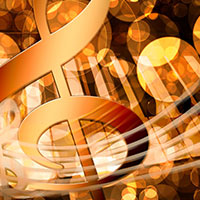 �������רҵȥ�ĸ�������ѧ��?