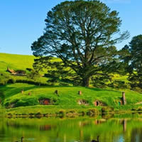 �ĸ�����������ѧ����ӭ��