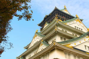 �ձ������������Щ��ѧ��