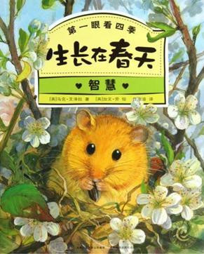 �������ڴ��졷