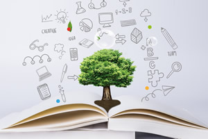 ��������ʮУ������ʲô��