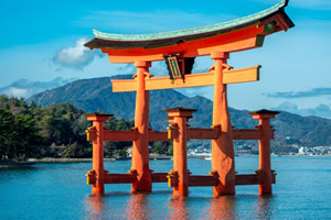 λ���ձ����ݵĴ�ѧ����Щ��