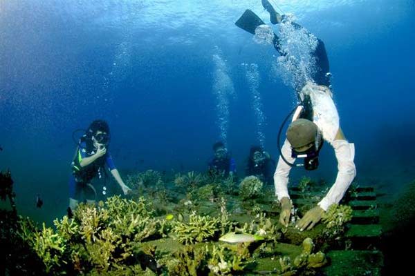 2018年大学生出国夏令营有哪些值得选择的?