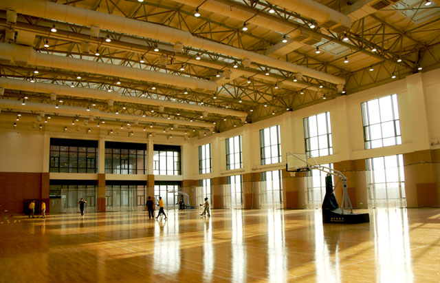 AIP������������