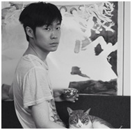 ����aip��������������ʦ