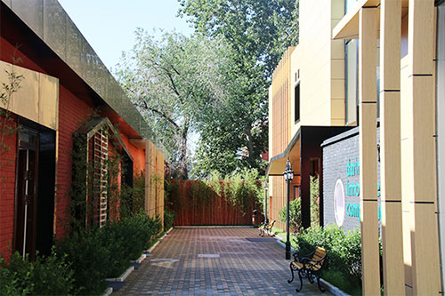 美国达罗捷派学校【暑期桥梁课程】因材施教是关键!