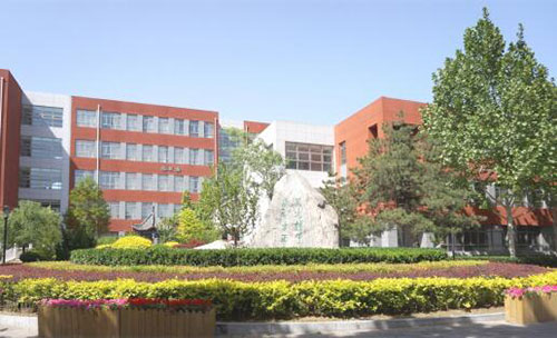  ��ʦ�������ʸ���������SACCӢ���γ���Ŀ��������