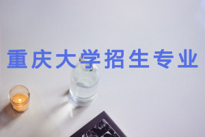 重庆大学在职研究生