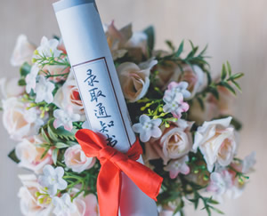 北京航空航天大学3+2留学2017届录取情况汇总