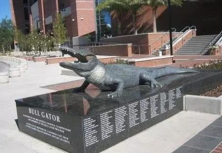 �����ʸ�����ô�ܲ��˽�����֪��������ѧ¼ȡ���ƣ�