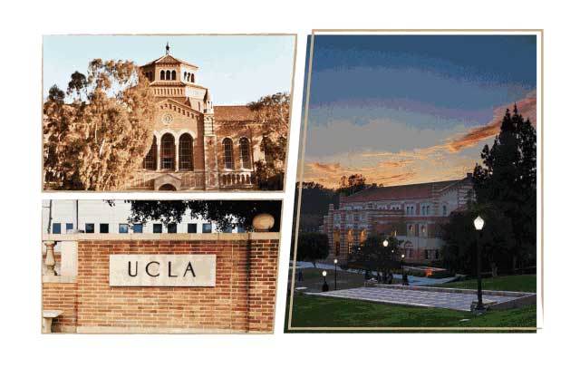 �����ʸ�����ô�ܲ��˽�����֪��������ѧ¼ȡ���ƣ�