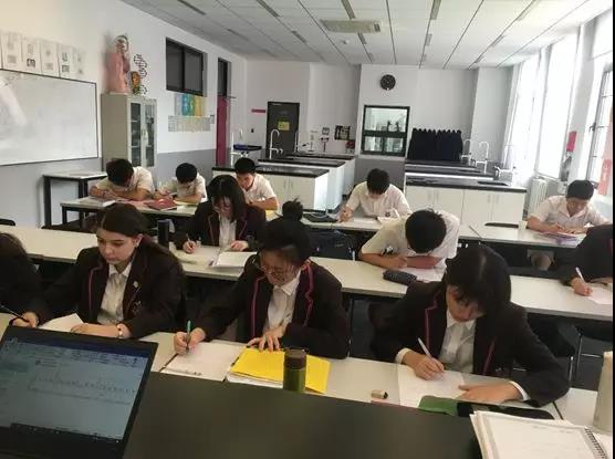 【黑利伯瑞教学课堂】亲自动手,探索元素的“奥秘”