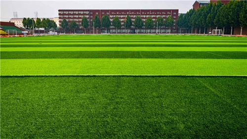 北京王府学校办学条件有什么优势?