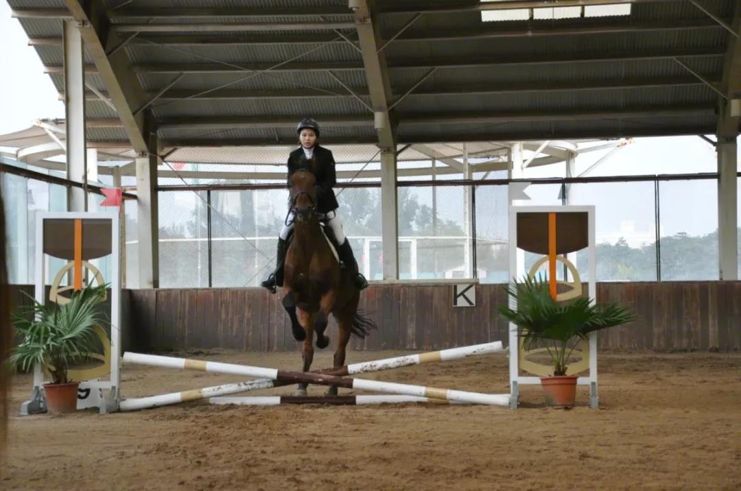 高端马术比赛|兴趣变竞争,达罗捷派勇争