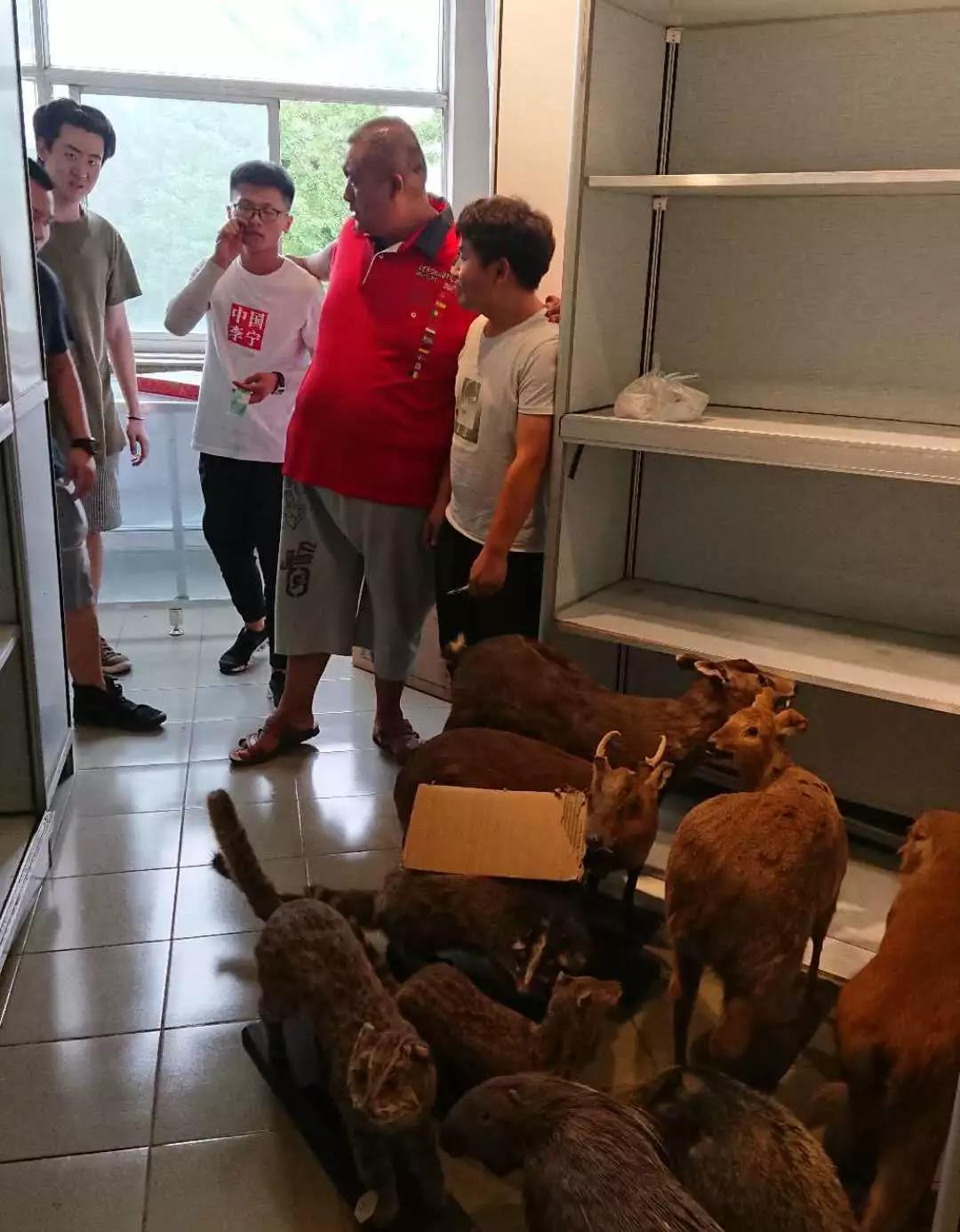 北京师范大学亚太实验学校 |你知道吗,这里有座博物馆!