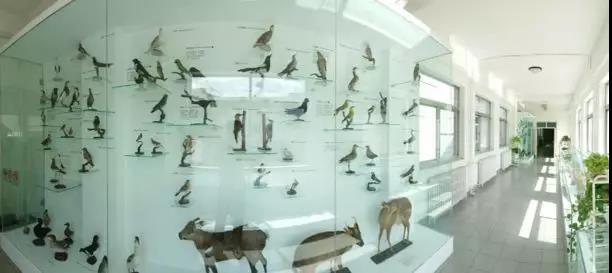 北京师范大学亚太实验学校 |你知道吗,这里有座博物馆!