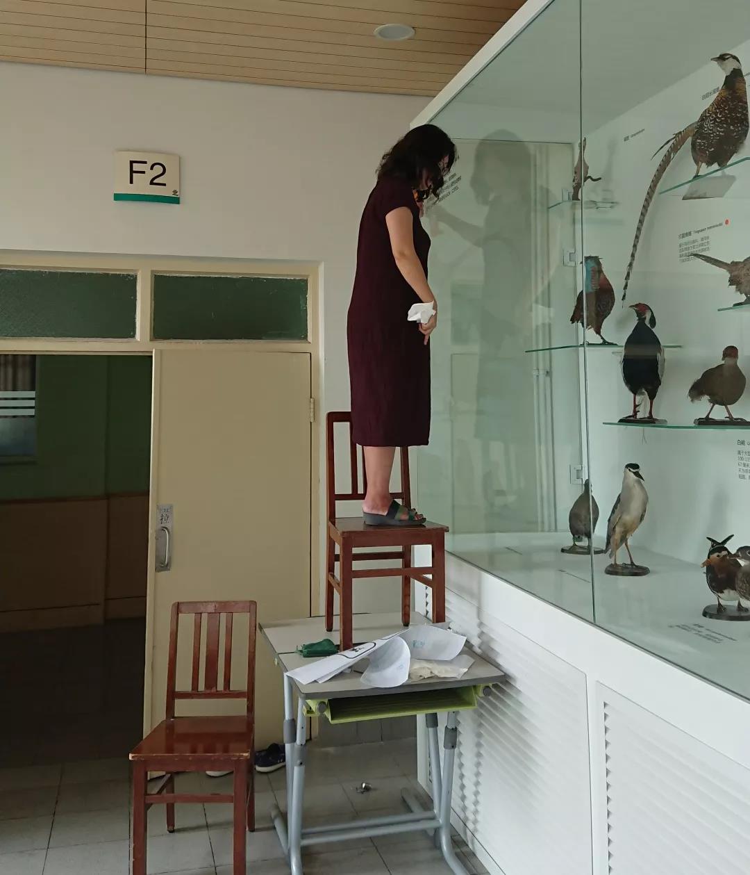 北京师范大学亚太实验学校 |你知道吗,这里有座博物馆!