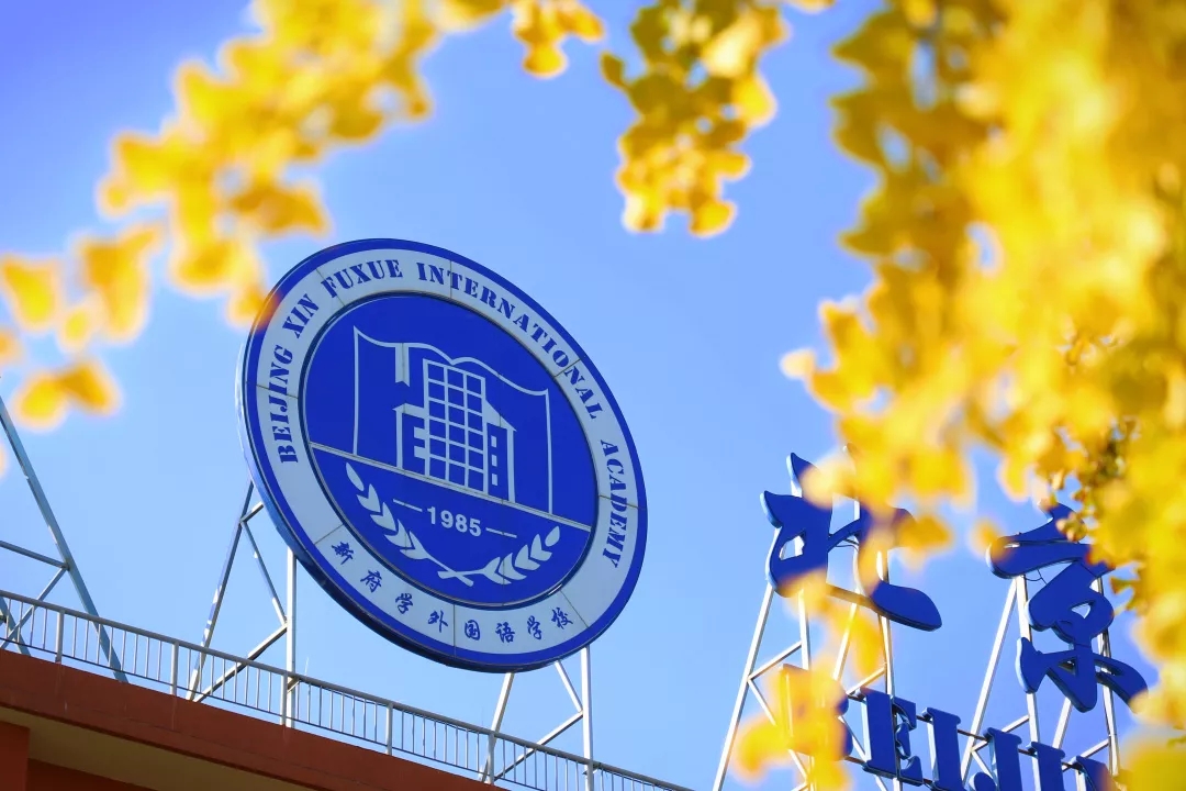 校园体验日 | 金秋十月,与您相约,走进新府学深度探校