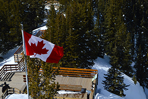 ����ѧУ�γ�