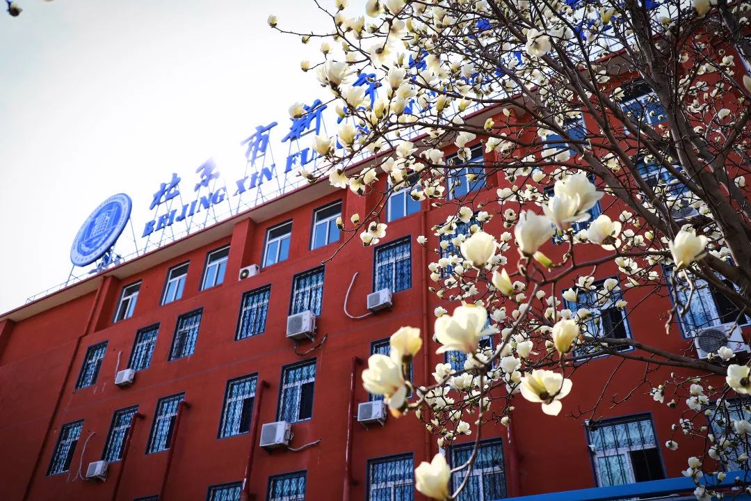 �¸�ѧ�����ѧУ