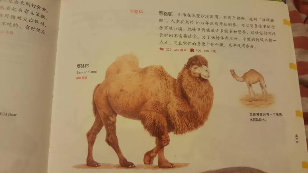 Ϲ˫ѧУ