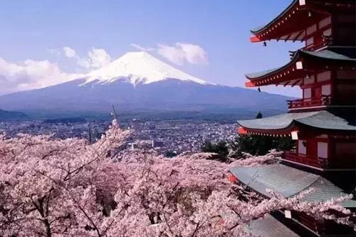 重镑 │中育贝拉日本国际高中可以直录日本大学本科了!