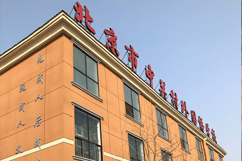 中关村外国语学校