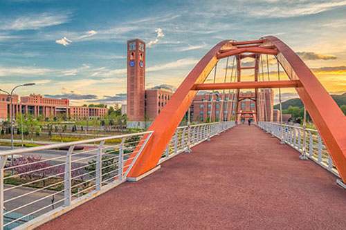 йѧԺѧѵĽſγЩγ ʲôƣ