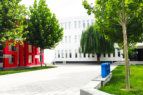 ���Ϲ���˫��ѧУ