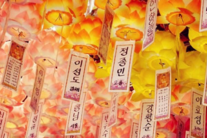 北京外国语大学韩国留学班有哪些优势？