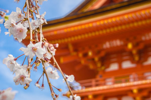 �߿���ѧ���������̵㣨�ţ����ձ�