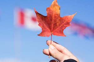 ��Щ��ѧ2+2��ѧ��Ŀ��������ô��ѧ��