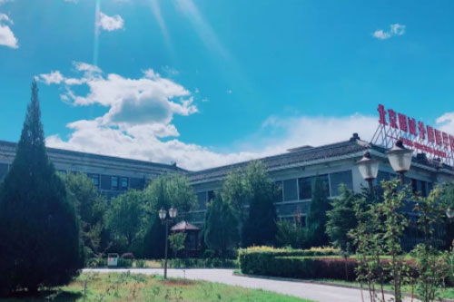 北京明诚外国语学校