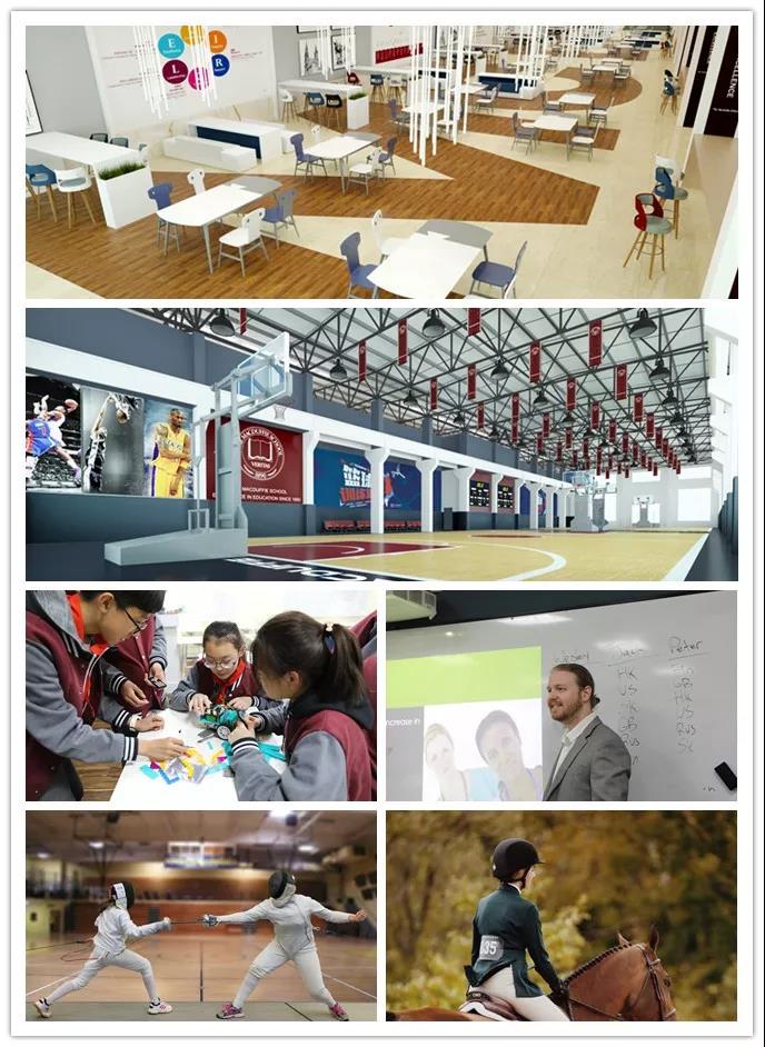 �������ƹ��ʲ�