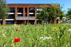 北航3+2留学海外对接大学推荐：苏塞克斯大学