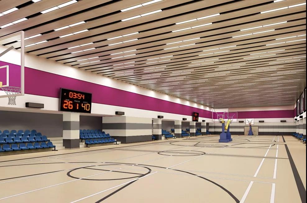 ÷ɳ����������ԺУ԰����