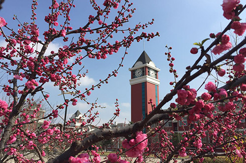 ����ѧУѧ��