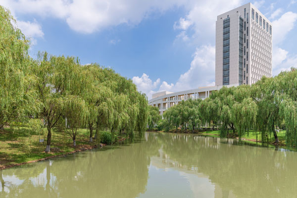 大连工业大学艺术与信息工程学院录取分数线